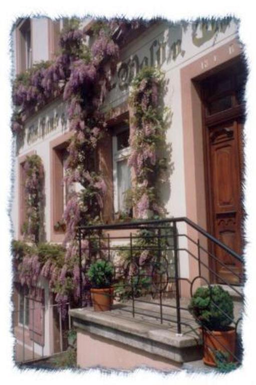 Gasthaus Neupert Lemberg エクステリア 写真
