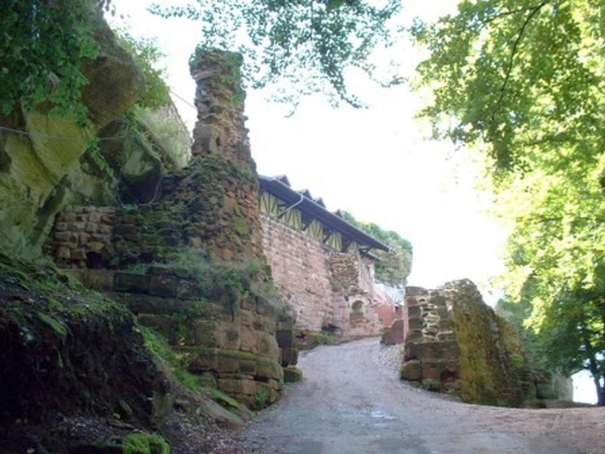 Gasthaus Neupert Lemberg エクステリア 写真